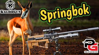 PCP Air Rifle KalibrGun Springbok W SemiAuto [upl. by Anayek]