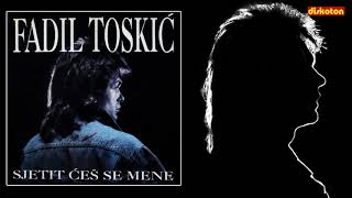 Fadil Toskic  Mirises na divlje jagode  audio 1990 HQ [upl. by Eelek]