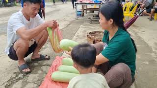 Picking gourds to sell at the market  daily life [upl. by Nalym]