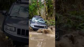 A Bit Deeper Than We Thought BudJeep Grand Cherokee jeepgrandcherokee overland offroad4x4 wk2 [upl. by Earl]