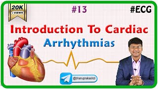 13 Introduction To Cardiac Arrhythmias  ECG assessment and ECG interpretation made easy [upl. by Rebbecca488]