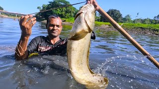 A fisherman are happy to catch a huge shoal fish during a fishing festival in river  Saima Fishing [upl. by Kalmick442]