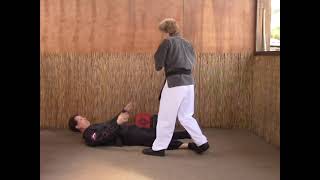 Tracy Kenpo Karate 3rd Brown Belt Raking the Ground [upl. by Nibaj]