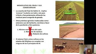 Agricultura de Conservación una ruta productiva para zacatecas [upl. by Nnayecats]