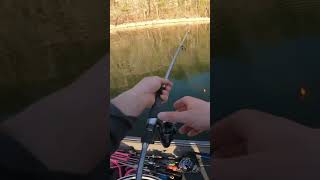 Floatnfly bassfishing catchandrelease largemouthbass fishingtackle largemouthbassfishing [upl. by Kusin947]