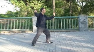 Traditional Yang Style Tai Chi Chuan  1st section Vancouver BC [upl. by Atelra66]