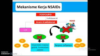 Farmakologi Antiinflamasi Antipiretik dan Antiinflamasi 2020 [upl. by Duomham287]