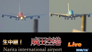 🐢2🛬Narita International Airport Live 】成田空港 生中継📸✈️💨】【Gibson Narita】 [upl. by Aldred988]