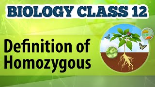 Definition of Homozygous  Genetic Basis of Inheritance  Biology Class 12 [upl. by Tebor]