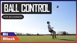 How to Control a Ball in the Air  Basics [upl. by Adnaluoy]