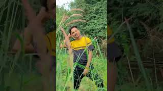 NOWA SAGEI DO KUMARSAWAR santaldance song dance [upl. by Alma390]