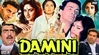 Damini 1993 Full Movie  Sunny Deol  Meenakshi Seshadri  Amrish Puri  Rishi Kapoor Review amp Fact [upl. by Alexia]