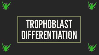 Trophoblast differentiation [upl. by Faustena]