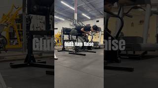 Glute Ham Raise  Angela at American Strength Training Center glute gluteworkout [upl. by Yllek]