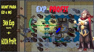 Tibia Hunt lvl 300 Ed e MS Werelion 3kk Exp  600k Profithr [upl. by Anairam]