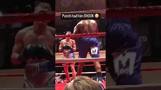 MMA Boxing Punch 👊🏻 shorts viralvideo mma ufc boxing trending shocking [upl. by Ahtelrac]