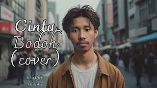 Rayden  Cinta Bodoh ft Prisma COVER Lyrics Video [upl. by Norby]