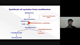 Cysteine Metabolism in a glance [upl. by Ahsinan152]