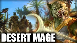 Skyrim SE Builds  The Desert Mage  Anequina Khajiit Build [upl. by Sicular]