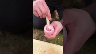 Survival Bushcraft Skills Soap Ki Sardi 🥶survival bushcraft camping outdoors skills shorts [upl. by Colvin403]