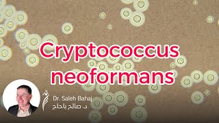 16 Cryptococcus neoformans [upl. by Nesnej103]