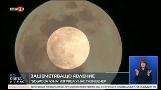 Зашеметяващо явление Последната суперлуна за годината озарява нощното небе [upl. by Winthorpe61]