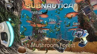 What You Can Find in NE Mushroom Forest Subnautica [upl. by Takakura]