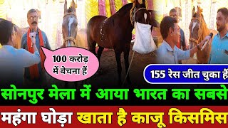 sonpur mela में आया भारत का सबसे महंगा घोड़ा 155 रेस जीतने वाला घोड़ा खाता है काजू किसमिस [upl. by Kile]