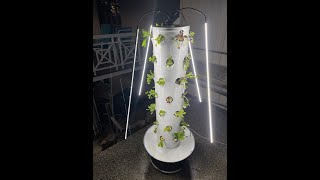 OLD How to Setup an Aeroponic Tower Garden  Air Stacky [upl. by Asirb]