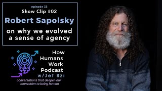 Robert Sapolsky On why we evolved a sense of agency [upl. by Shamrao601]