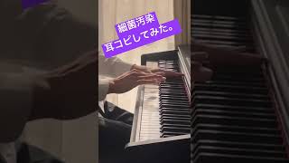 細菌汚染耳コピしてみた。細菌汚染耳コピ [upl. by Walton746]