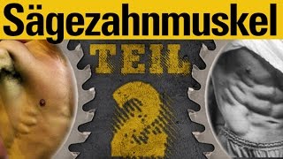 Sägezahnmuskel trainieren  Serratus  Teil 2 Übungen [upl. by Maupin]