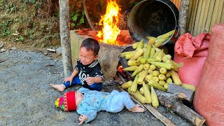 Harvest corn with children to sell at the market  Build a new life [upl. by Halyahs607]