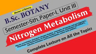 BSc Botany 5th Semester  Paper I Unit III Nitrogen Metabolism  Complete Lecture [upl. by Noj189]