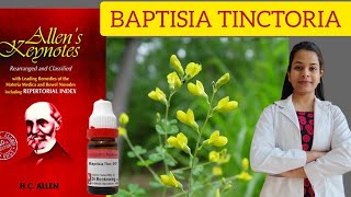 Baptisia tinctoria homeopathic medicine Allens keynotes materia medica in hindi easy explanation [upl. by Ahsenar72]