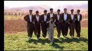 Kürtce Halay Dügün  Kurdish Wedding Dance Halparke [upl. by Jonathan]