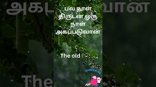 8 Proverbs in English and Tamil  Spoken English in Tamil spokenenglishintamil shorts [upl. by Suzi]