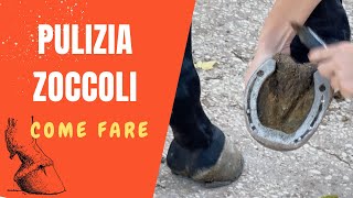 🐴 COME PULIRE GLI ZOCCOLI DI UN CAVALLO  SEGRETI DELLEQUITAZIONE [upl. by Igig]