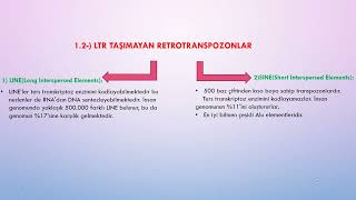 Transpozon Elementler [upl. by Anrim]