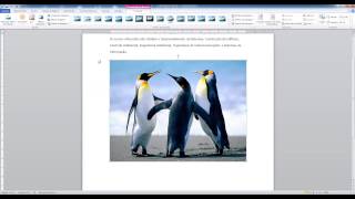 2 Tutorial de Word Avançado  Espaçamento Quebra de Página e Imagem [upl. by Ykciv]