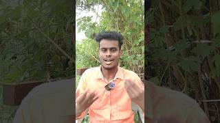 shortsfeed newshorts virelvideo newvideo newshots tamilshorts [upl. by Asset]