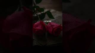 يا عبادى الذين آمنوا beautiful quran recitation by qari abdur rehman mosad lovely voice explore [upl. by Chinua]