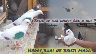 Aj bche khol diye ek bcha ur gya [upl. by Evers]