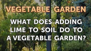 What Does Adding Lime to Soil Do to a Vegetable Garden [upl. by Day]