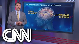 Entenda como a guerra pode provocar traumas e danos à saúde mental  Correspondente Médico [upl. by Philly]