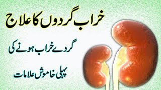 Kidney Treatment In Urdu  Kidney Disease Symptoms  Kidney Failure Symptoms [upl. by Anatole]