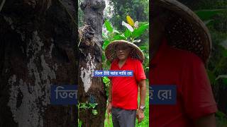 তিল ঠাঁই আর নাহি রে ছাতা নেই তাতে কি ঝুড়িইখাদি হলো আজকের ছাতা। [upl. by Ybeloc]