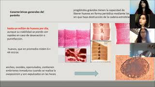 Difilobotriasis Diphyllobothrium latum [upl. by Hseyaj]