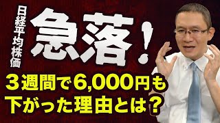 【日経平均株価が急落！】～3週間で6000円下がった理由とは？～ 2024年8月3日 [upl. by Nidya]