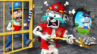 PAW Patrol The Movie 68 ► Oh My God Marshall try Hardest Escape From Ryders The Prison Challenge [upl. by Dian]